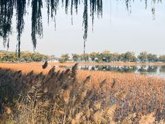 -颐和园