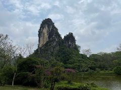 -南宁花花大世界景区