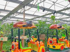 -南宫五洲植物乐园