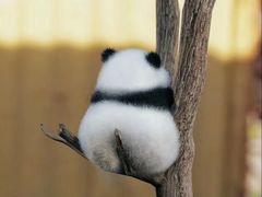 -恩宁刘福记(东华东路店)