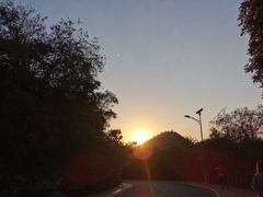 -仙岳公园