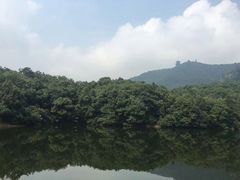 -杭州半山国家森林公园