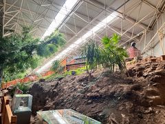 -中国第四纪冰川遗迹陈列馆