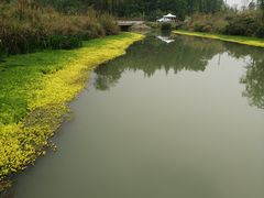 -桤木河湿地公园