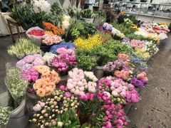 -双季花艺园艺市场(浦东店)