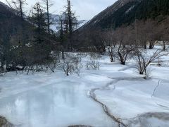 -黄龙山原始森林景区