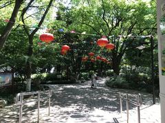 -瀛洲公园
