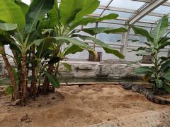 -石家庄市动物园