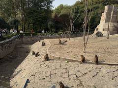 -哈尔滨北方森林动物园