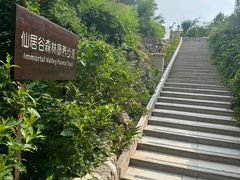 -仙居谷风景区