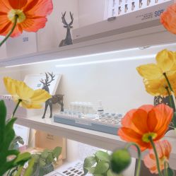 -SOR索尔祛痘·面部肌肤科学管理