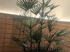 -潮界(LU·ONE凯德晶萃广场店)