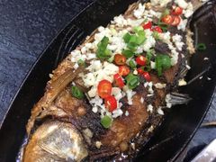 -老黑板筋(顺义总店)