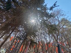 -天秀花园古月园