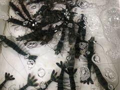 -拉威海鲜市场