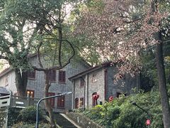 -之江大学-旧址