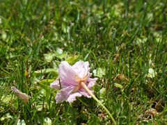 -Patek Philippe百达翡丽(上海源邸店)