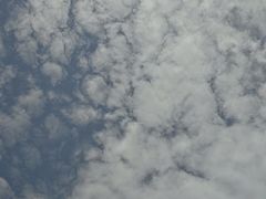-王顺山国家森林公园