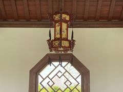 -王借岗森林公园