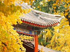 -中山公园