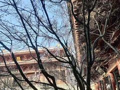 -牛首山文化旅游区