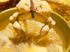 -哥老官重庆美蛙鱼头(日月光店)
