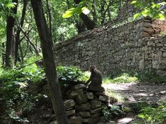 -北京上方山国家森林公园