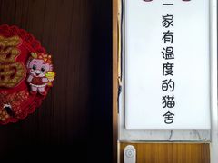 -猫十亿·布偶金渐层·曼基康矮脚猫舍(青年路店)
