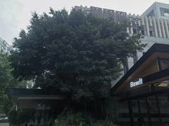 -铜锣湾·有麝自然香(渝北财富中心店)