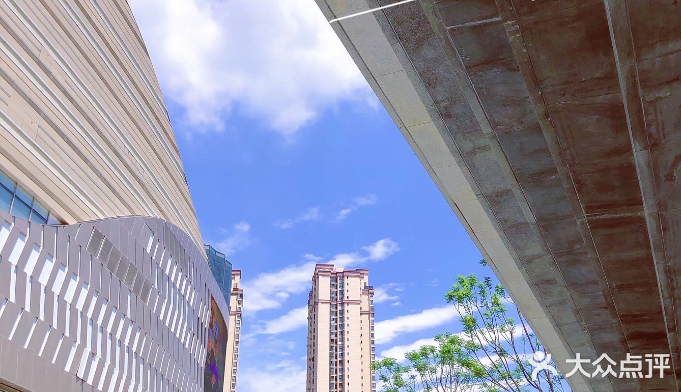 重庆小众秘摄｜0元打卡光环广场巨型钢铁鹦鹉螺