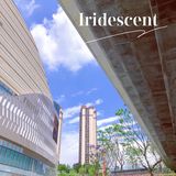 重庆小众秘摄｜0元打卡光环广场巨型钢铁鹦鹉螺