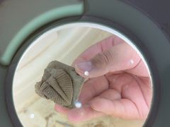 -房山世界地质公园博物馆