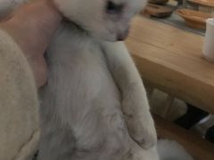 -驿舍·民國老营房院子私房菜(科学会堂店)