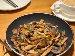 橄榄油三种菇-庆春朴门