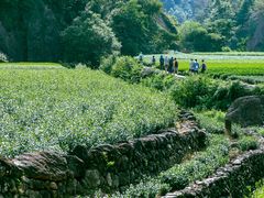 -十九峰景区-倒脱靴