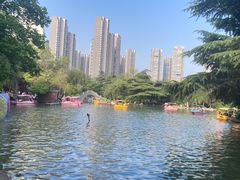 -西苑公园