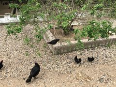 -南京金牛湖风景区