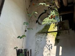 -兰亭风景区
