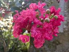 -长沙黑麋峰国家森林公园