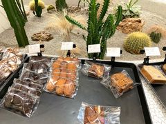 柠檬玛德琳-OUR Bakery(SKP-S店)