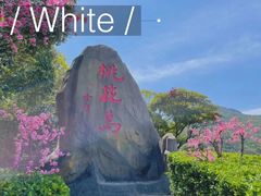 -东极岛景区