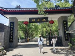 -南汇桃花村