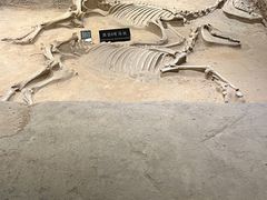 -洛阳周王城天子驾六博物馆