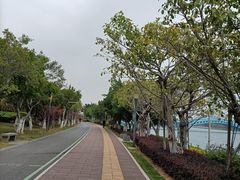 -五缘湾湿地公园