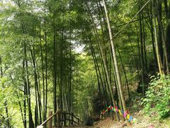 -藏龙百瀑风景区