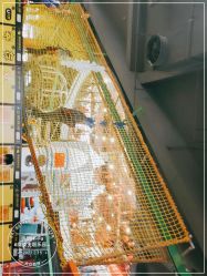 -嗨翻Hi-Fun竞技主题乐园·蹦床团建生日聚会(五棵松华熙店)
