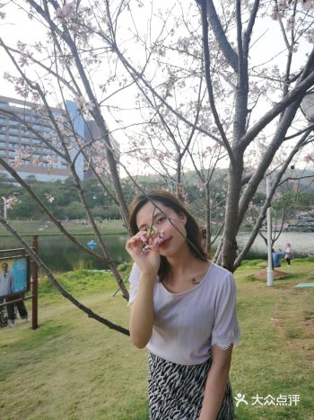 春天就是赏花的季节 周末特意来这边赏花，公园是免费对
