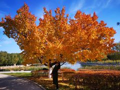 -长春世界雕塑园冰雪艺术天地