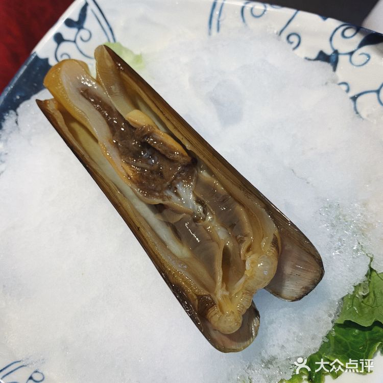 爱吃花胶鸡火锅的都跑来这里了