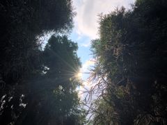 -太阳湾风景区